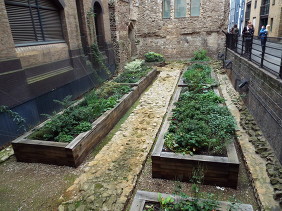 Winchester Palace Garden 1